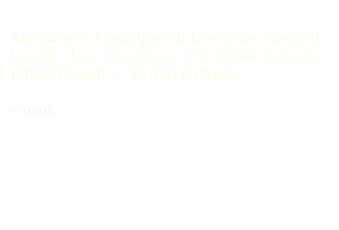 
Agriturismo Casapippo di Leonardo Pasquini Caselli - Loc. Casapippo, 172 50066 Reggello FIRENZE cell. + 39 320 0370422
e-mail: maurizio.euristica@gmail.com